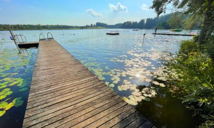 Kupferfarbener Badetraum im Innviertel: Holzöstersee und Ibmer See