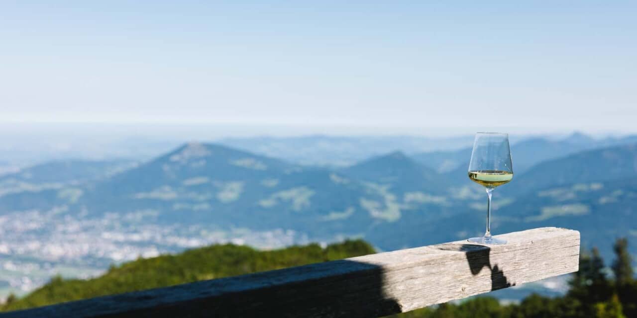 Wein unterwegs: Was man über Österreichs Rebsorten wissen sollte