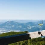 Wein unterwegs: Was man über Österreichs Rebsorten wissen sollte