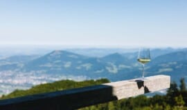 Österreichischer Wein