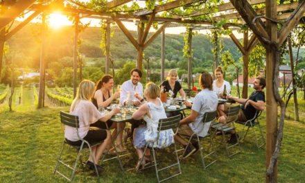 Wein Guide Weiß  2021: Alles über den österreichischen Weißwein