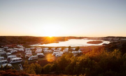 Schwedens schönste Campingplätze 2025 aus Gästesicht